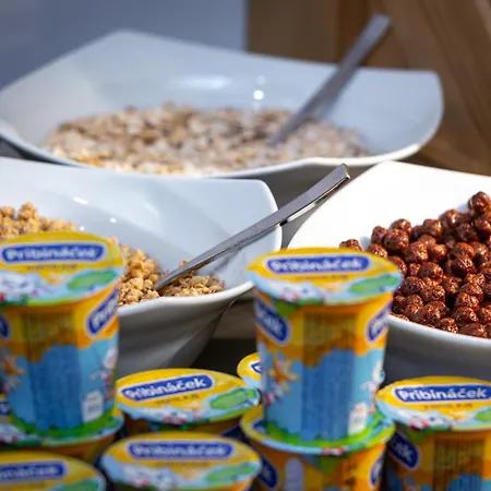 ホテル Strachan Family Jasna デマノブスカ・ドリーナ